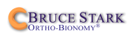 Bruce Stark Logo